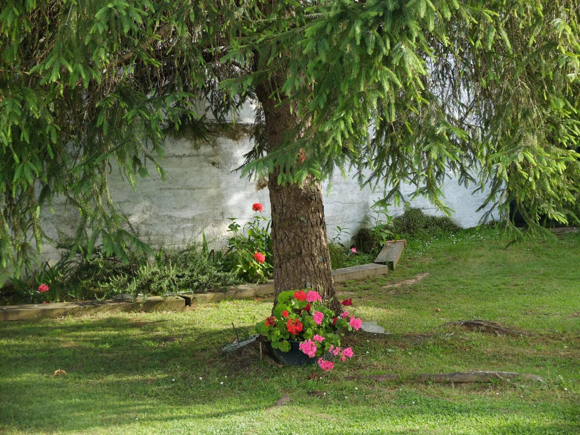 Lugar De Cal Fene Exterior foto